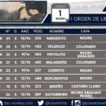 Madrid - Novillada picada - Domingo 1 de julio de 2018