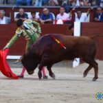 Madrid - Novillada picada - Domingo 1 de julio de 2018