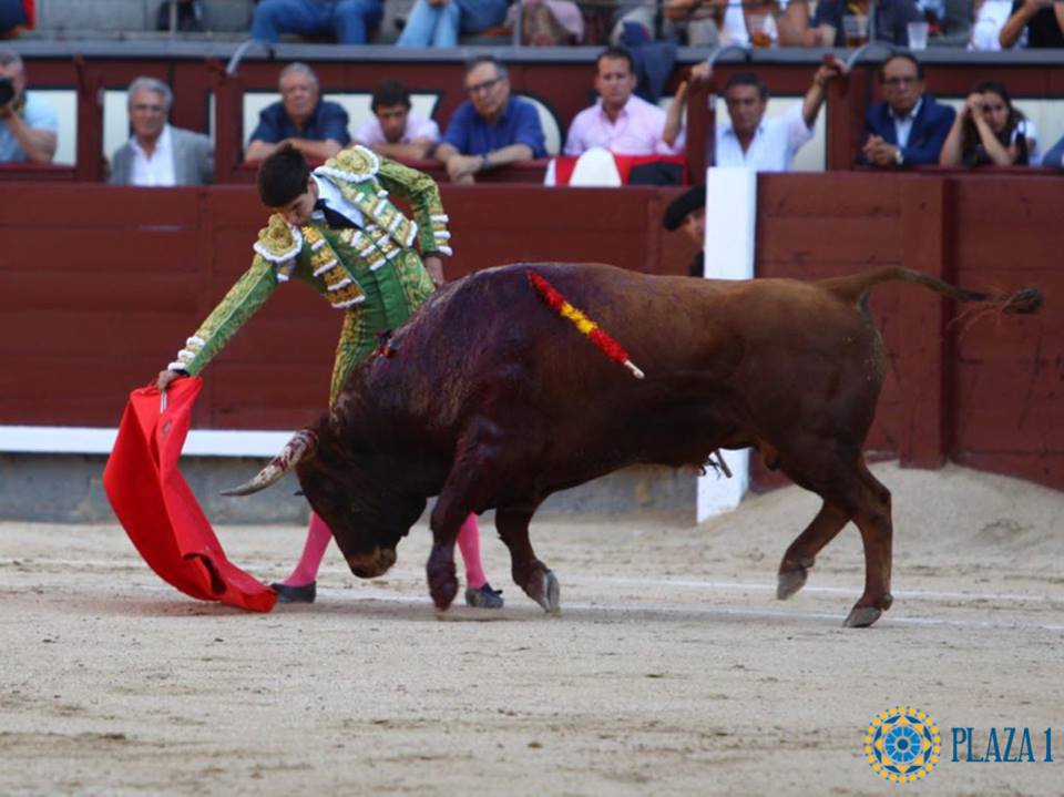 Madrid - Novillada picada - Domingo 1 de julio de 2018