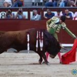 Madrid - Novillada picada - Domingo 1 de julio de 2018