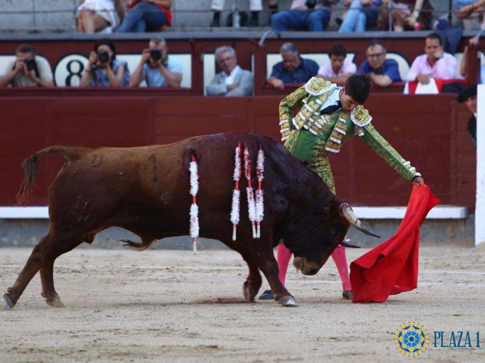 Madrid - Novillada picada - Domingo 1 de julio de 2018