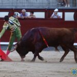 Madrid - Novillada picada - Domingo 1 de julio de 2018