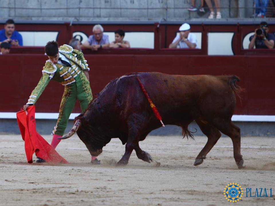 Madrid - Novillada picada - Domingo 1 de julio de 2018