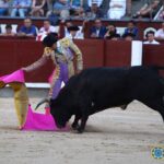Madrid - Novillada picada - Domingo 1 de julio de 2018