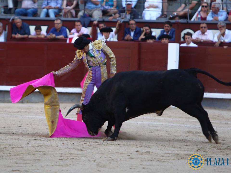 Madrid - Novillada picada - Domingo 1 de julio de 2018