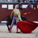 Madrid - Novillada picada - Domingo 1 de julio de 2018