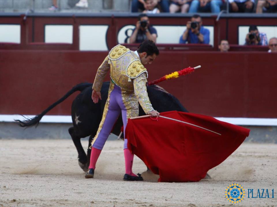 Madrid - Novillada picada - Domingo 1 de julio de 2018