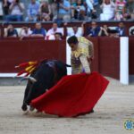 Madrid - Novillada picada - Domingo 1 de julio de 2018