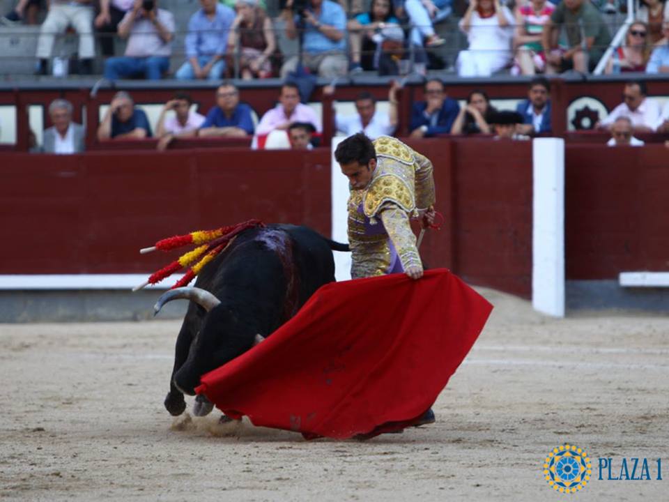 Madrid - Novillada picada - Domingo 1 de julio de 2018