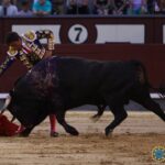 Madrid- Novilla picada nocturna - Viernes 6 de julio de 2018