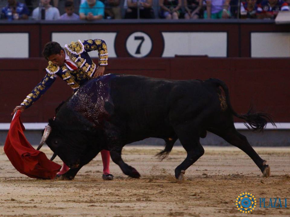 Madrid- Novilla picada nocturna - Viernes 6 de julio de 2018