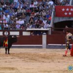 Madrid- Novilla picada nocturna - Viernes 6 de julio de 2018