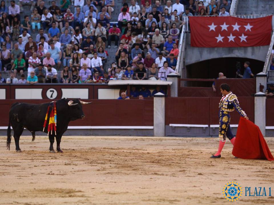 Madrid- Novilla picada nocturna - Viernes 6 de julio de 2018