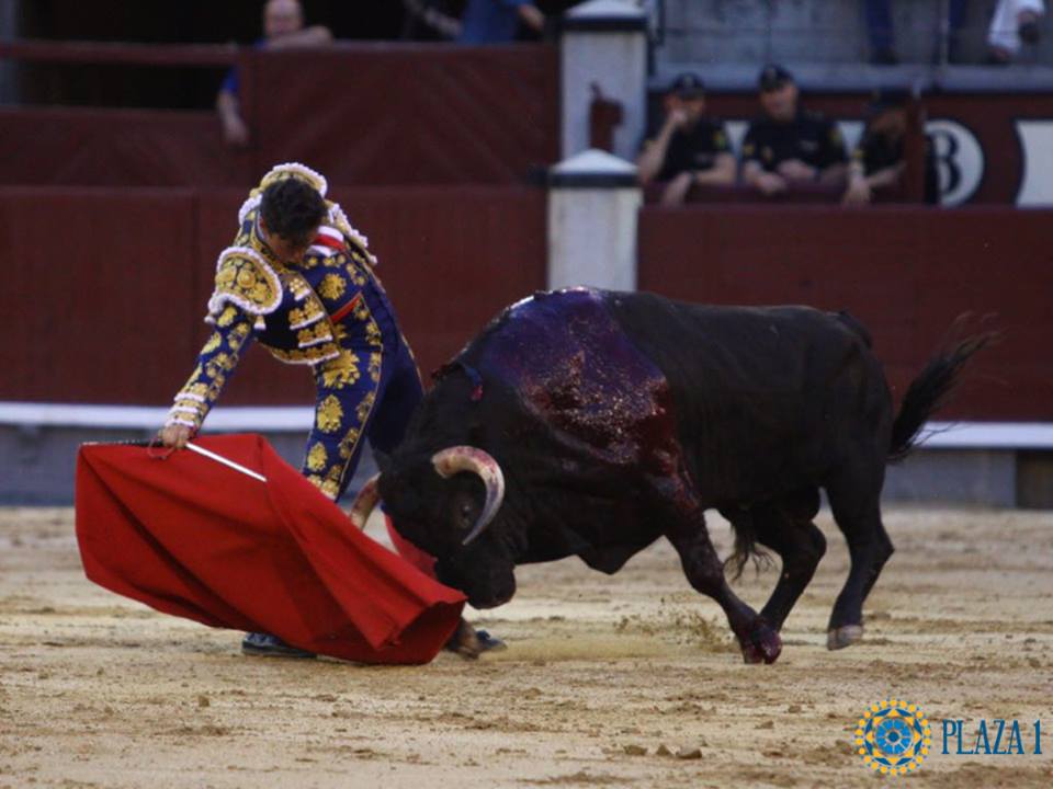 Madrid- Novilla picada nocturna - Viernes 6 de julio de 2018
