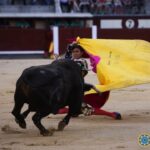 Madrid- Novilla picada nocturna - Viernes 6 de julio de 2018