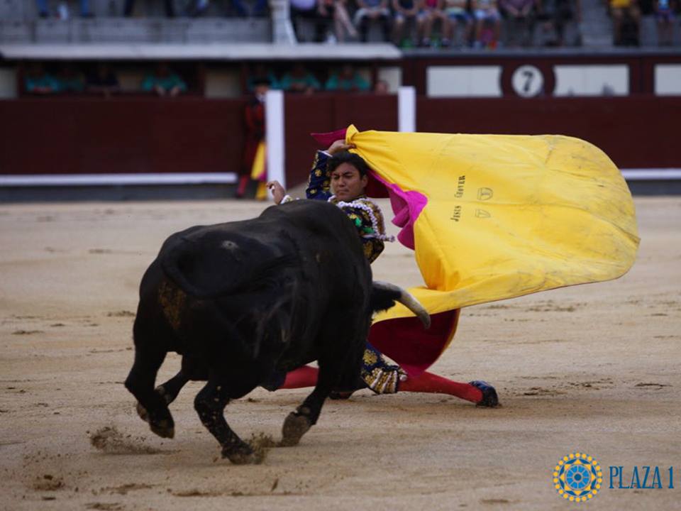 Madrid- Novilla picada nocturna - Viernes 6 de julio de 2018