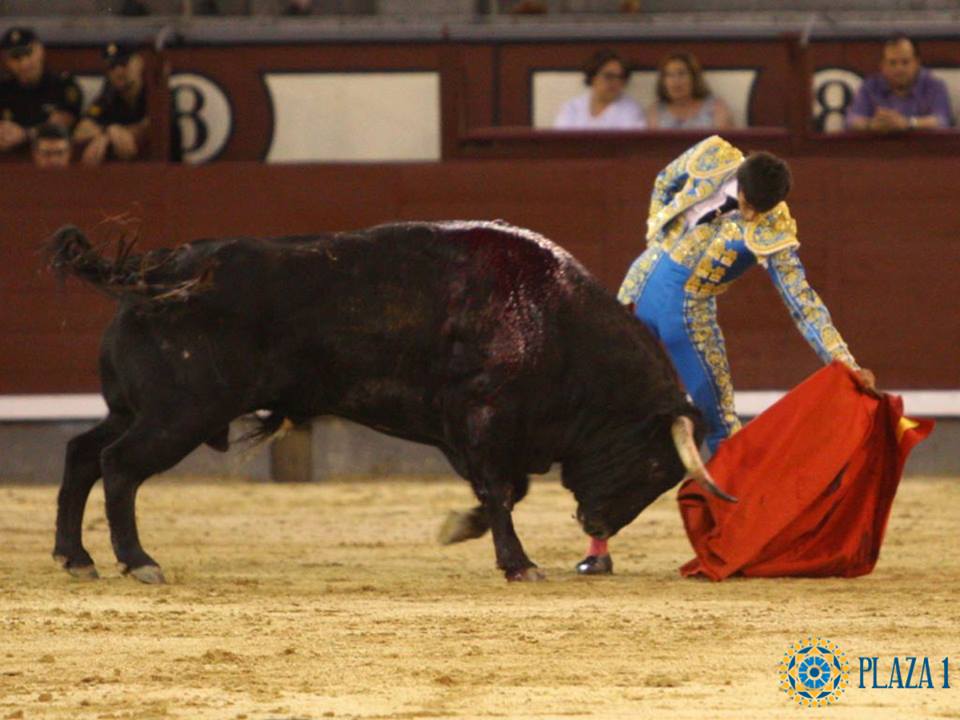 Madrid- Novilla picada nocturna - Viernes 6 de julio de 2018