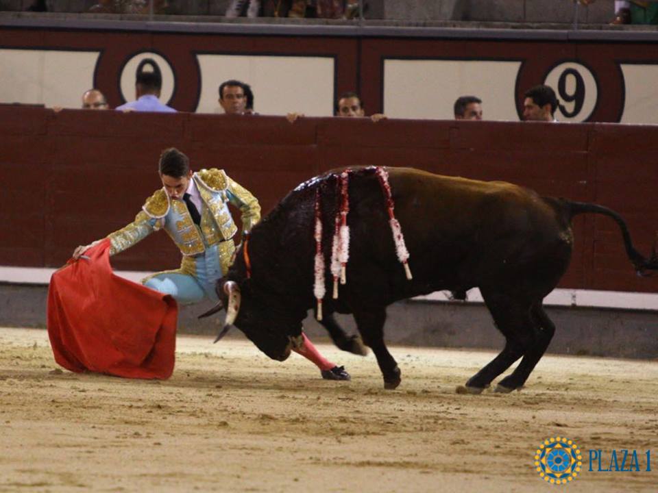 Madrid- Novilla picada nocturna - Viernes 6 de julio de 2018