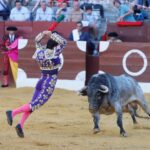 San Fernando (Cádiz), 14 de julio de 2018