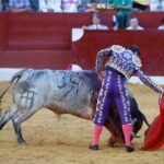 San Fernando (Cádiz), 14 de julio de 2018
