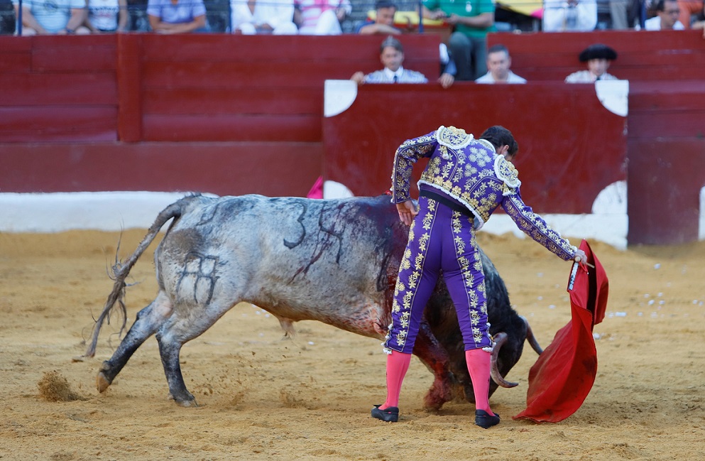 San Fernando (Cádiz), 14 de julio de 2018