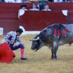 San Fernando (Cádiz), 14 de julio de 2018