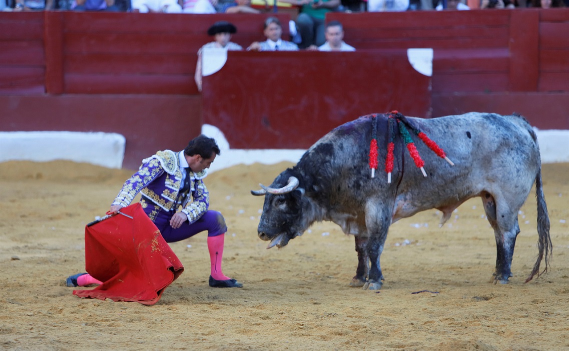 San Fernando (Cádiz), 14 de julio de 2018