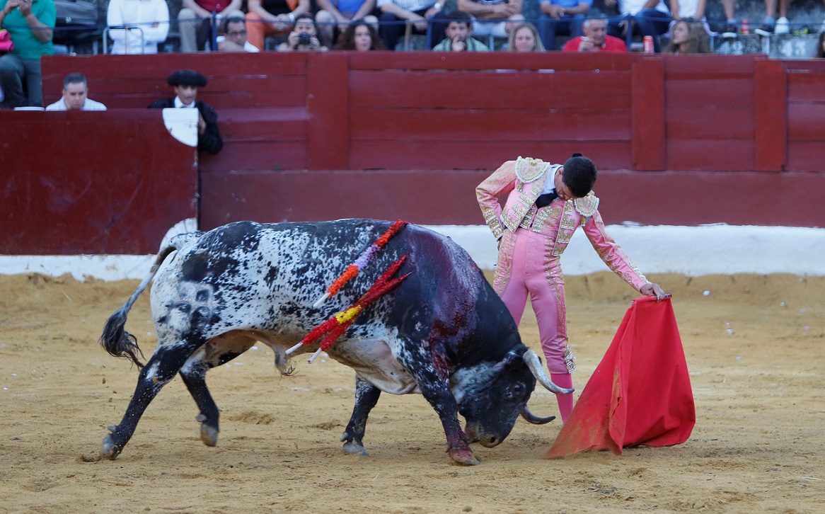 San Fernando (Cádiz), 14 de julio de 2018
