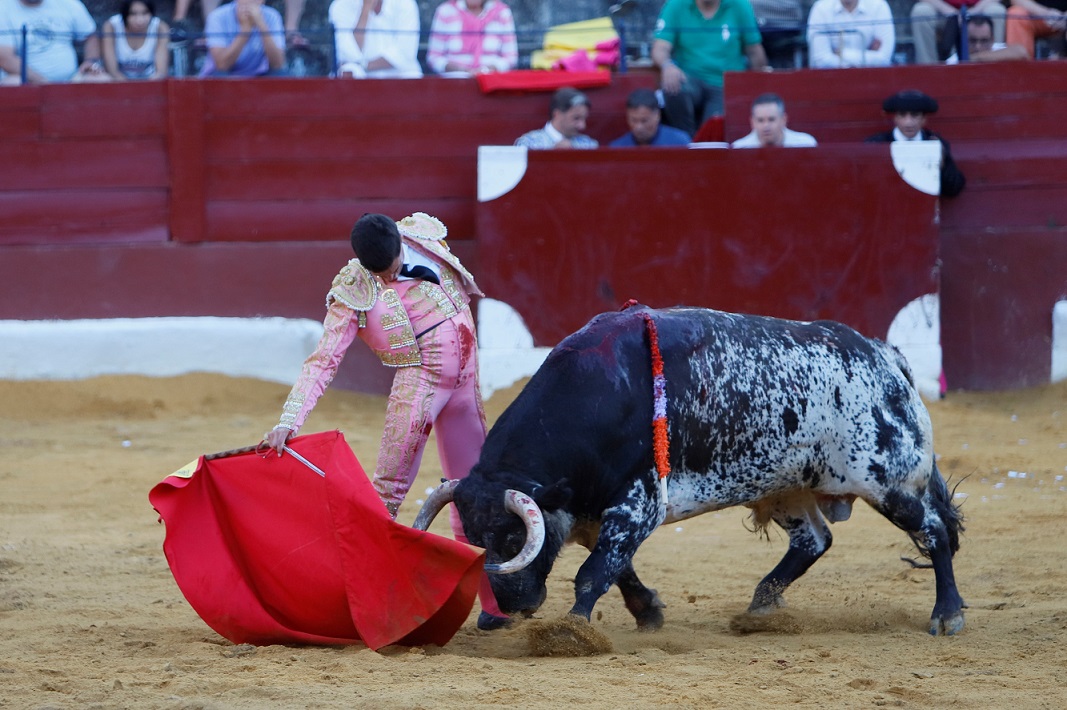 San Fernando (Cádiz), 14 de julio de 2018