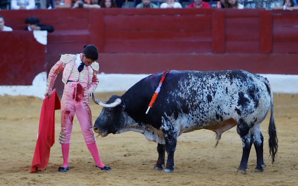 San Fernando (Cádiz), 14 de julio de 2018