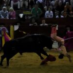 San Fernando (Cádiz), 14 de julio de 2018