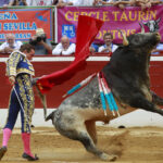 Mont de Marsan - Corrida de toros - Viernes 20 de julio de 2018