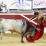 Mont de Marsan - Corrida de toros - Viernes 20 de julio de 2018