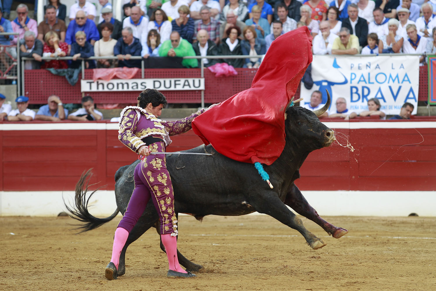 Mont de Marsan - Corrida de toros - Viernes 20 de julio de 2018