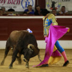 Mont de Marsan - Novillada nocturna - Sábado 21 de julio de 2018