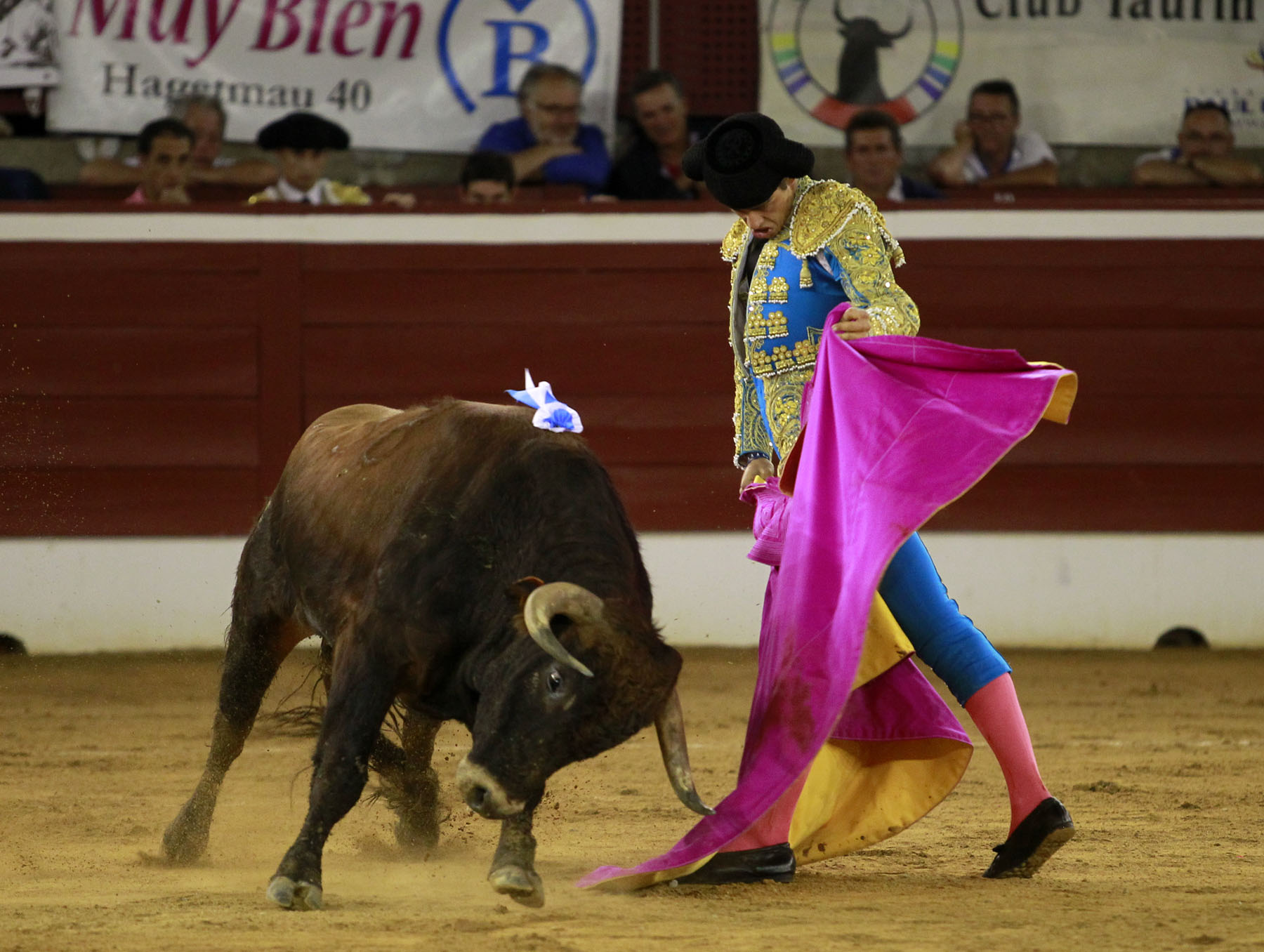 Mont de Marsan - Novillada nocturna - Sábado 21 de julio de 2018