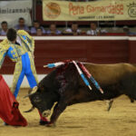 Mont de Marsan - Novillada nocturna - Sábado 21 de julio de 2018