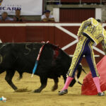 Mont de Marsan - Novillada nocturna - Sábado 21 de julio de 2018