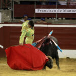 Mont de Marsan - Novillada nocturna - Sábado 21 de julio de 2018