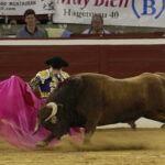 Mont de Marsan - Novillada nocturna - Sábado 21 de julio de 2018