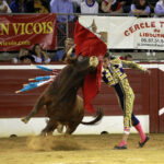 Mont de Marsan - Novillada nocturna - Sábado 21 de julio de 2018