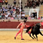 Villaseca de la Sagra (Toledo) - Final del V Certamen de Novilladas 2018