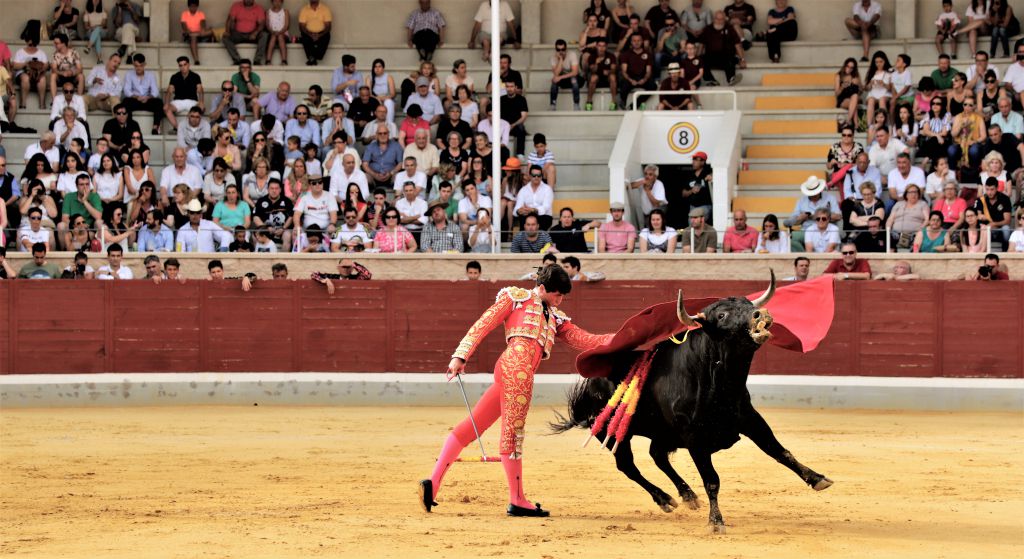 Villaseca de la Sagra (Toledo) - Final del V Certamen de Novilladas 2018