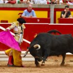 Pamplona - Corrida de toros - Sábado 7 de julio de 2018