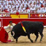 Pamplona - Corrida de toros - Sábado 7 de julio de 2018