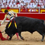 Pamplona - Corrida de toros - Sábado 7 de julio de 2018