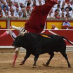 Pamplona - Corrida de toros - Sábado 7 de julio de 2018