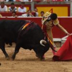 Pamplona - Corrida de toros - Sábado 7 de julio de 2018