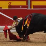 Pamplona - Corrida de toros - Sábado 7 de julio de 2018