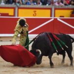 Pamplona, 5 de julio de 2018